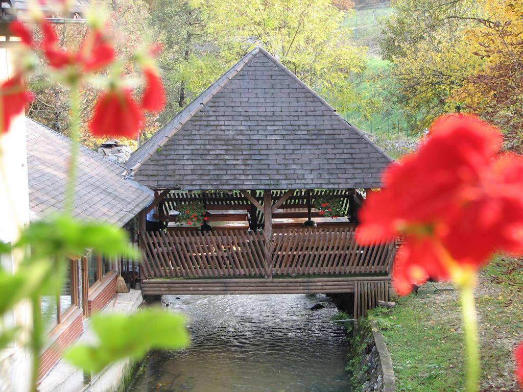 Guesthouse Zorko Gostilna Domen Smarjeske Toplice Dış mekan fotoğraf