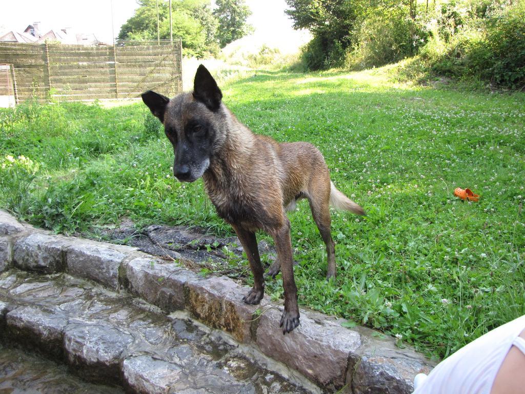 Guesthouse Zorko Gostilna Domen Smarjeske Toplice Dış mekan fotoğraf