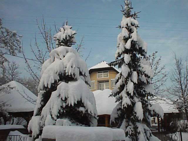 Guesthouse Zorko Gostilna Domen Smarjeske Toplice Dış mekan fotoğraf