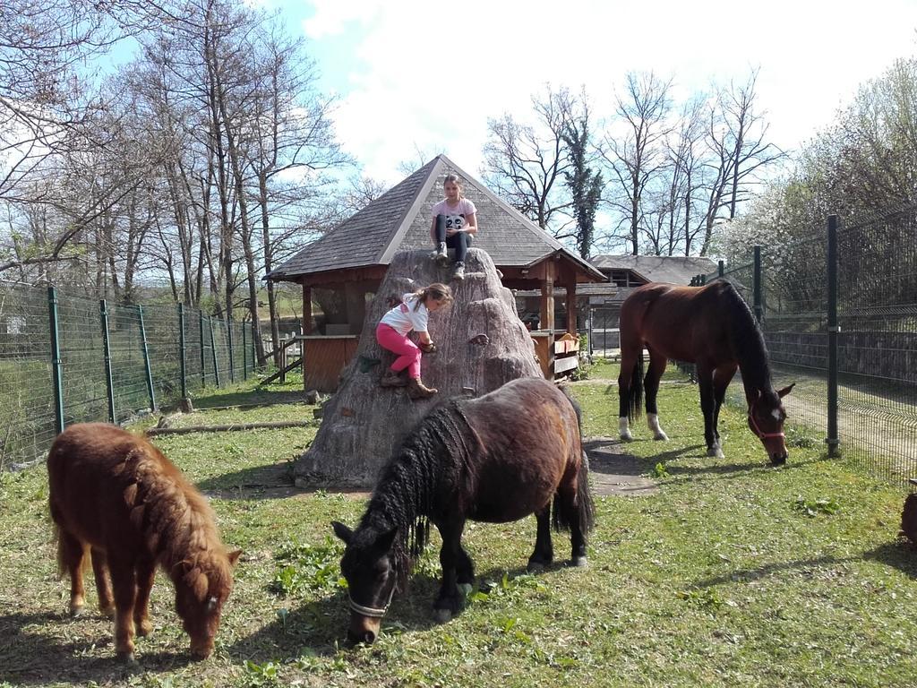 Guesthouse Zorko Gostilna Domen Smarjeske Toplice Dış mekan fotoğraf