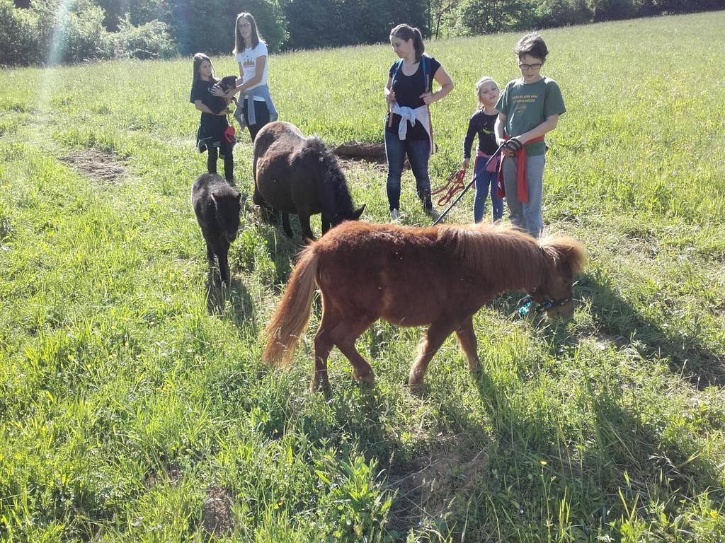 Guesthouse Zorko Gostilna Domen Smarjeske Toplice Dış mekan fotoğraf